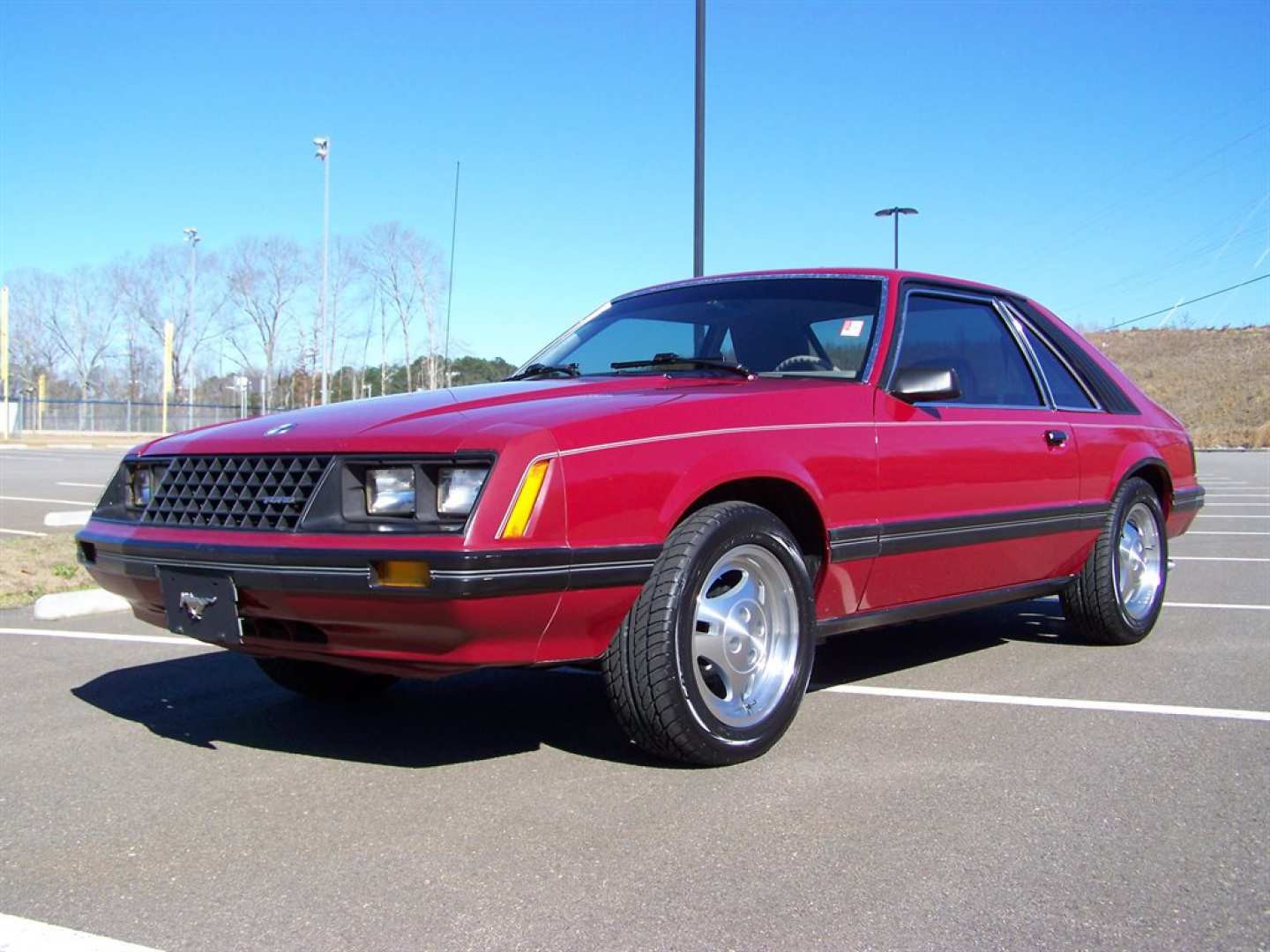 1981 FORD MUSTANG